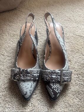 Pointed-Toe Slingback Mules in Gray Snake Print with Buckle